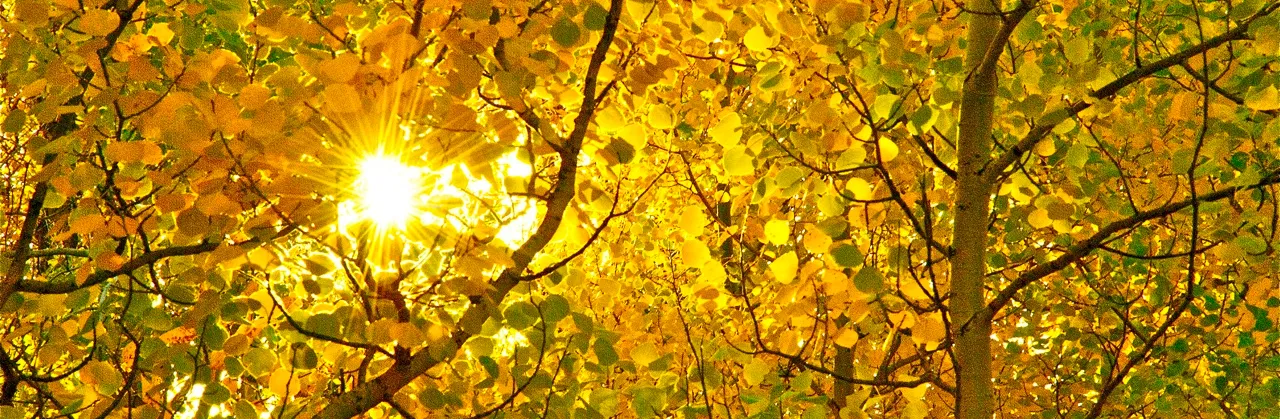 Sunscreen: Protecting Your Skin at 8000′